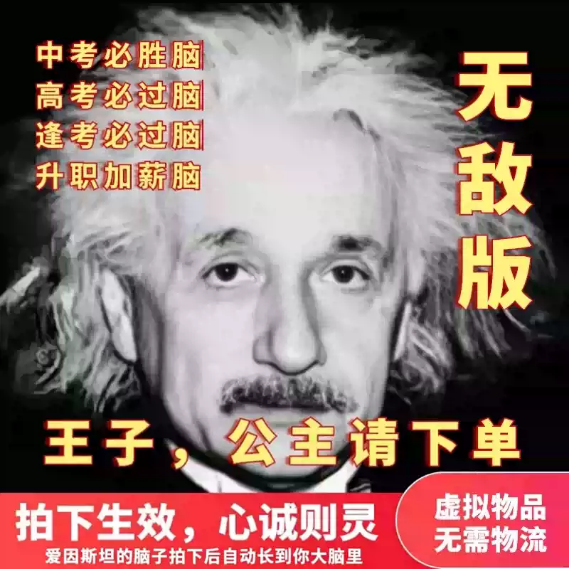 爱因斯坦的脑子 下单开智